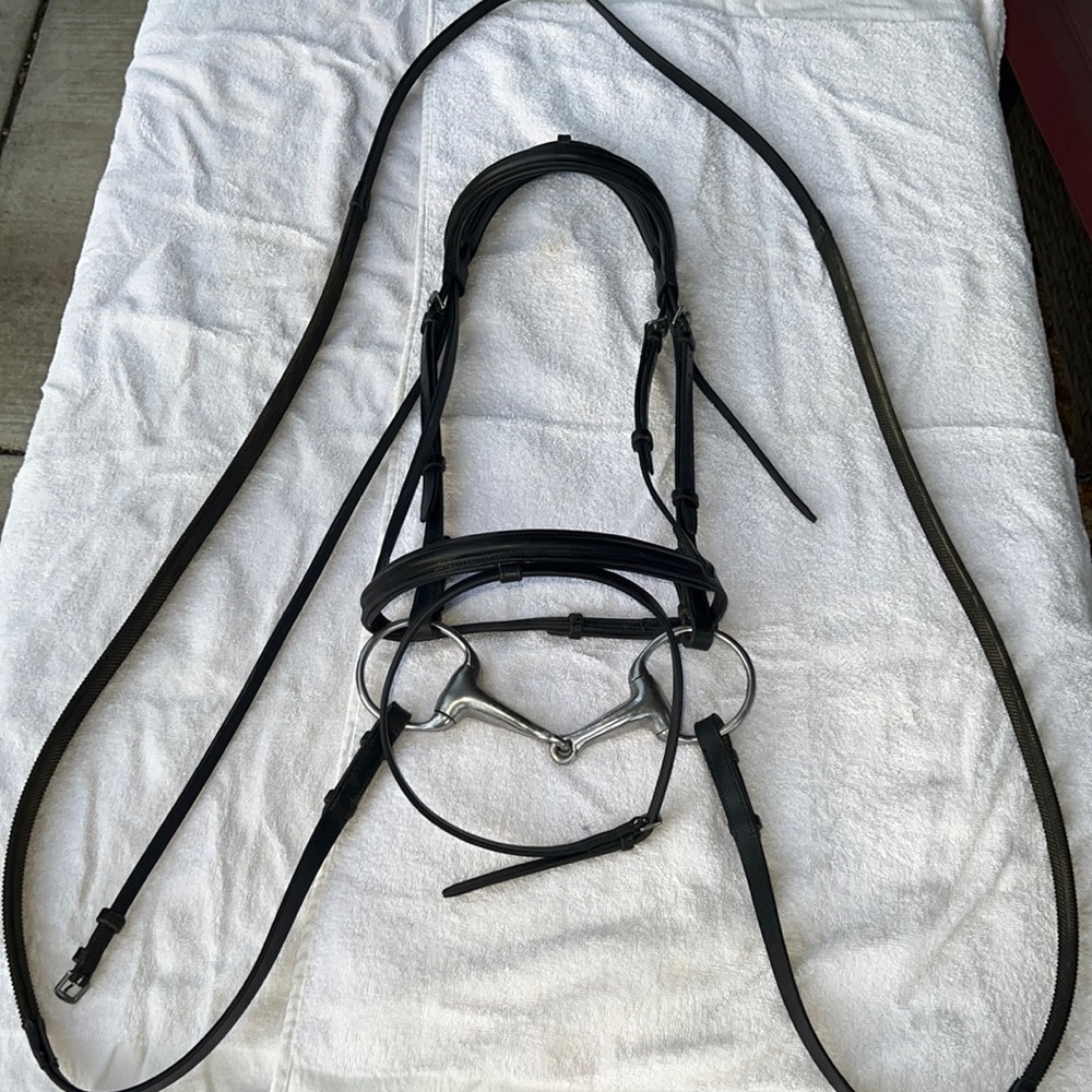 black english padded bridle with reins & flash - sz. horse / full • BRAND NEW •